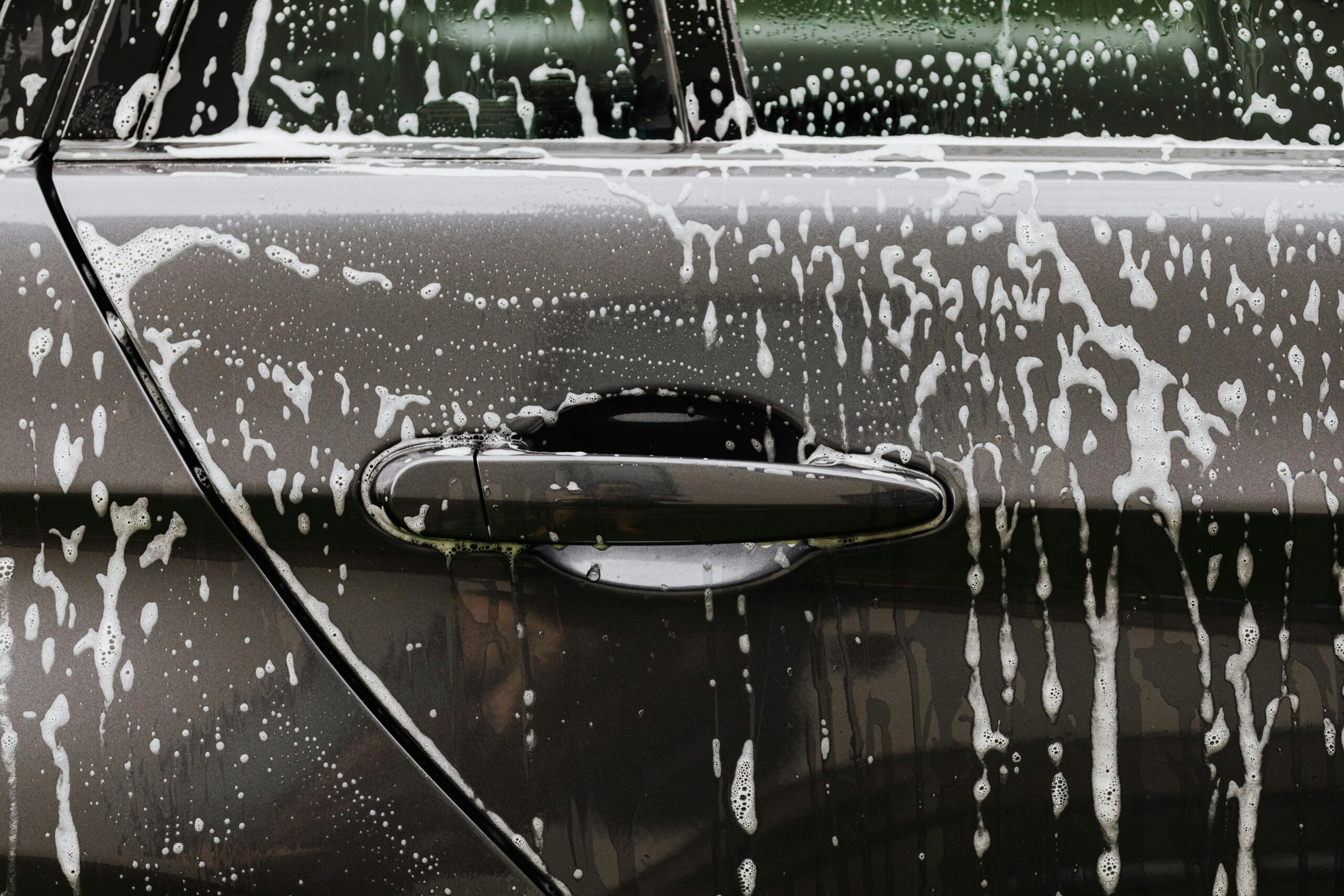 The detail Guy Boise Idaho mobile auto detailer